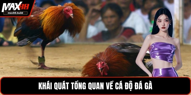 Cược kèo tài xỉu đá gà chính xác hiệu quả