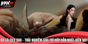 Đá Gà Cựa Dao