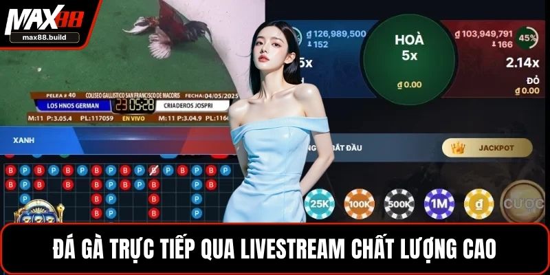 Đá gà trực tiếp qua livestream chất lượng cao