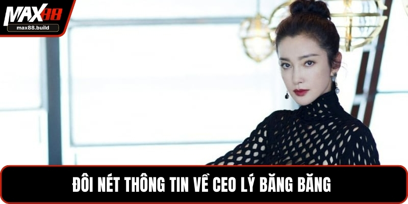 Đôi nét thông tin về CEO Lý Băng Băng