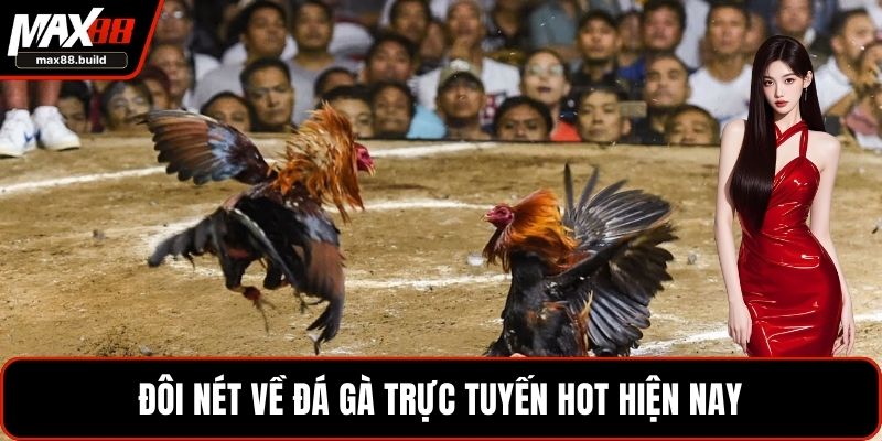 Đôi nét về đá gà trực tuyến hot hiện nay