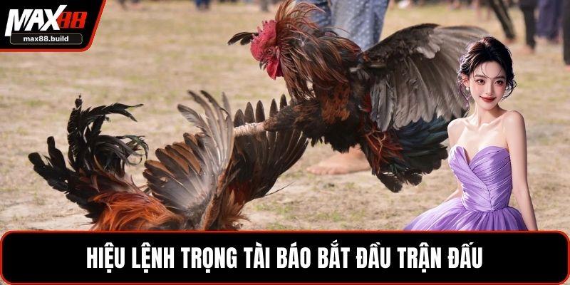Hiệu lệnh trọng tài báo bắt đầu trận đấu