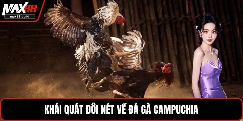 Khái quát đôi nét về đá gà Campuchia