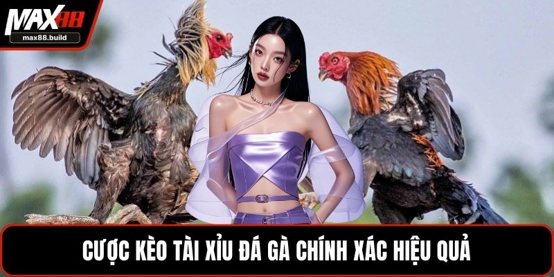 Khái quát tổng quan về cá độ đá gà