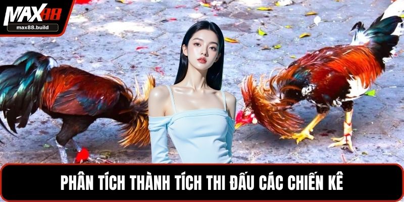 Phân tích thành tích thi đấu các chiến kê
