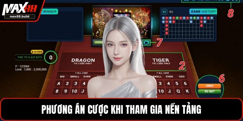 Phương án cược khi tham gia nền tảng