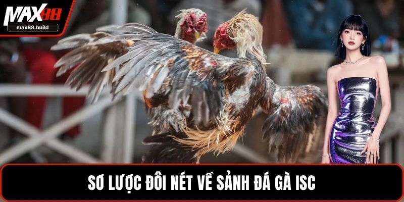 Sơ lược đôi nét về sảnh đá gà ISC