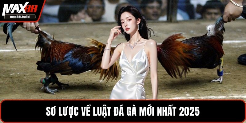Sơ lược về luật đá gà mới nhất 2025