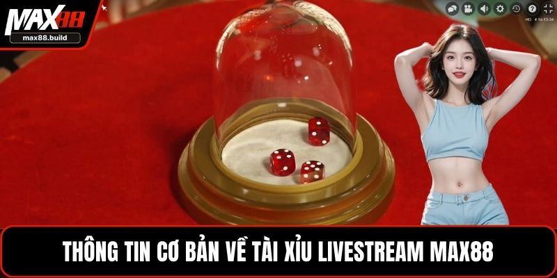 Thông tin cơ bản về tài xỉu livestream MAX88