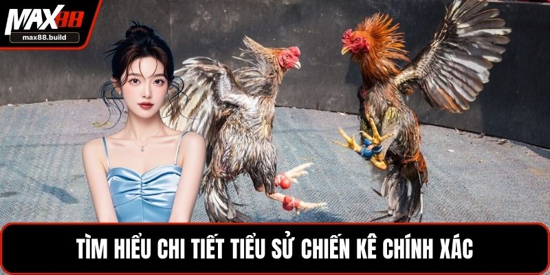 Tìm hiểu chi tiết tiểu sử chiến kê chính xác