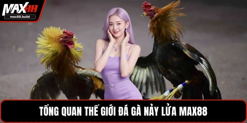 Tổng quan thế giới đá gà nảy lửa MAX88